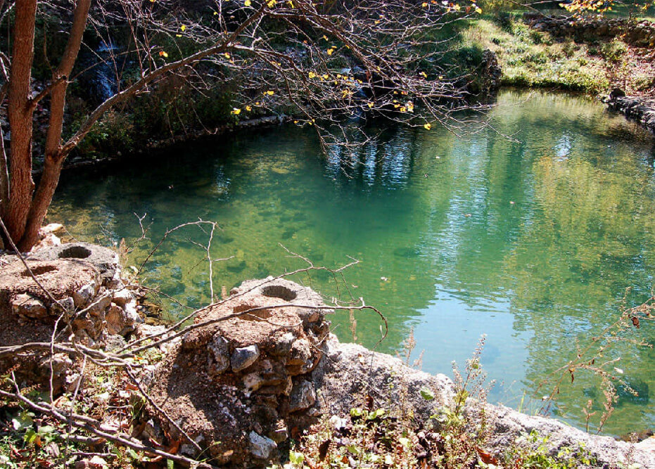 Chimney Rock Hollow